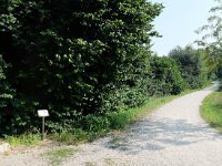 [Group 6]-DSCF8238 DSCF8239-2 images